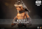 Star Wars: The Mandalorian & Grogu Life-Size Masterpiece Life-Size Figure Keeto (Anzellan Droidsmith) 26 cm