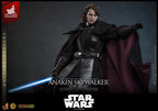 Star Wars Episode III: Revenge Of The Sith Movie Masterpiece Action Figure 1/6 Anakin Skywalker (Concept Art Version) (Artisan Edition) Hot Toys Exclusive 31 cm