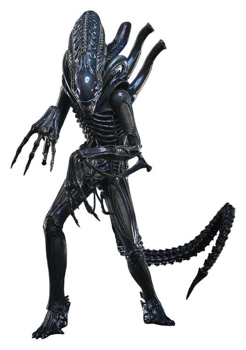 Alien Movie Masterpiece Action Figure 1/6 Alien Warrior (Deluxe Version) 39 cm