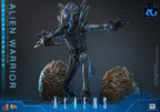 Alien Movie Masterpiece Action Figure 1/6 Alien Warrior (Deluxe Version) 39 cm