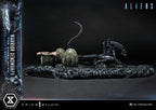 Aliens (Film) Ultimate Diorama Masterline Statue Warrior Xenomorph for Queen Alien 23 cm
