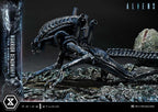 Aliens (Film) Ultimate Diorama Masterline Statue Warrior Xenomorph for Queen Alien 23 cm