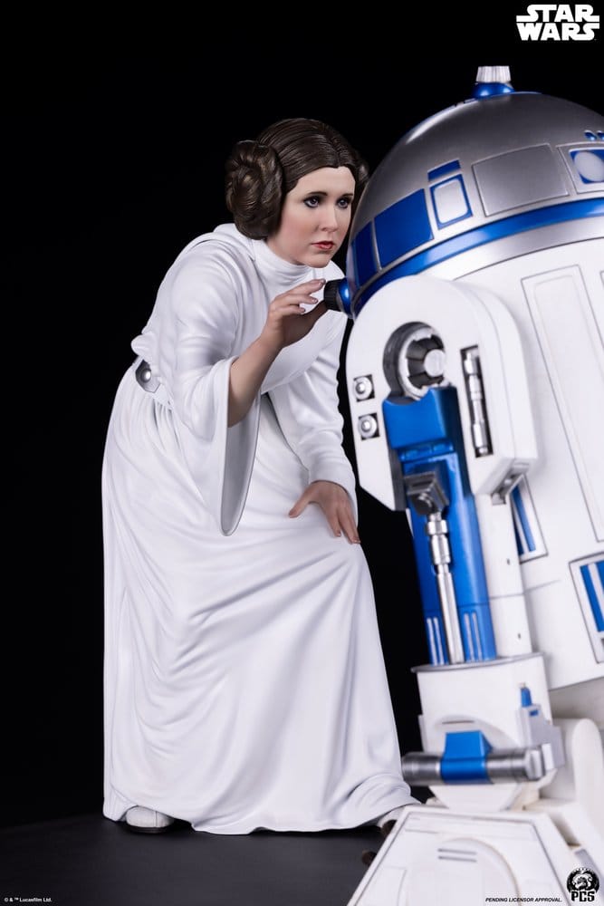 Star Wars Statue 1/3 Princess Leia 48 cm, view 8